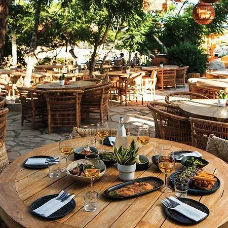Odessa 4*